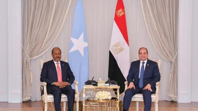 صورة الرئيس السيسي يؤكد دعم مصر الكامل لتحقيق توافق وطني في الصومال