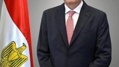 صورة “الزراعة” تعلن ارتفاع الصادرات الزراعية المصرية إلى 5.8  مليون طن حتى الآن