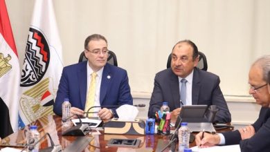 صورة وزير قطاع الأعمال يبحث مع رئيس الجهاز المركزي للتنظيم والإدارة تعزيز التعاون المشترك