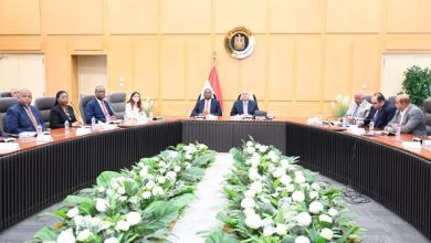 صورة مصر والكونغو الديمقراطية تبحثان تعزيز التعاون في مجالات النقل وتنفيذ مشروعات للبنية التحتية