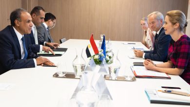 صورة وزير الخارجية يبحث مع ممثلة الاتحاد الأوروبي العلاقات الثنائية والتطورات الإقليمية