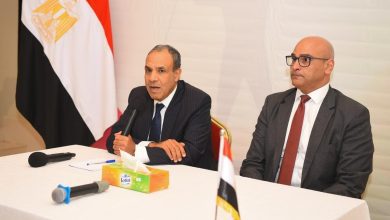 صورة وزير الخارجية والهجرة: الدولة المصرية تولي اهتمامًا بالغًا بأبنائها في الخارج