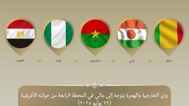 صورة وزير الخارجية والهجرة يتوجه إلى مالي في المحطة الرابعة من جولته في غرب إفريقيا