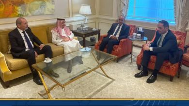 صورة وزير الخارجية يبحث مع نظرائه القطري والأردني والسعودي الخطوات المقبلة لتنفيذ خطة التعافي المبكر وإعادة إعمار غزة