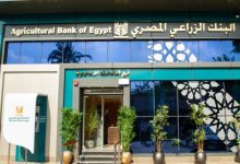 صورة البنك الزراعي المصري يمول إنتاج المحاصيل المتنوعة.. تعرف على المستندات المطلوبة