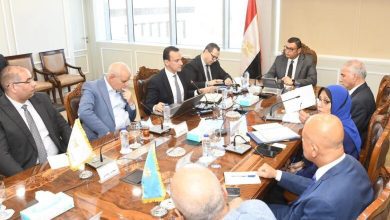 صورة الشربيني: إنشاء وحدتي “تنظيم السوق العقارية” و”تصدير العقار المصري” يهدف لوجود قاعدة بيانات للسوق العقارية