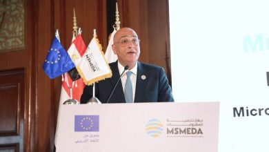 صورة توجيه 600 مليون جنيه لتشغيل الشباب في 11 محافظة ضمن اتفاقية معالجة الأسباب الجذرية للهجرة غير النظامية