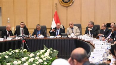 صورة “الوزير” : الموافقة على إقامة 3 مصانع بنظام المناطق الحرة الخاصة باستثمارات 216.5 مليون دولار