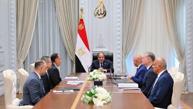 صورة الرئيس السيسي يوجه بالإسراع في توطين الصناعات ذات الصلة بقطاعي البتروكيماويات والتعدين
