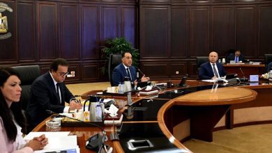 صورة رئيس الوزراء: استراتيجية وطنية متكاملة لدعم وإحياء الصناعات والحرف اليدوية