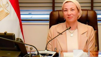 صورة عاجل .. الحكومة تقبل استقالة وزيرة البيئة