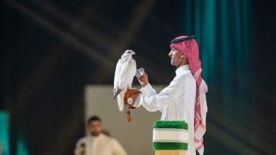 صورة نخبة سلالات الصقور تحلّق في سماء الرياض 5 أغسطس