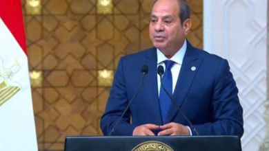 صورة الرئيس السيسي : الإمكانات في مصر وفيتنام لم تستغل بعد