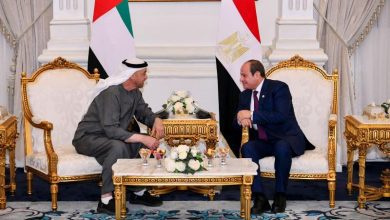 صورة بن زايد يشيد بما تشهده العلاقات بين مصر والإمارات من تطور مستمر في مختلف المجالات