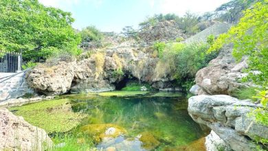 صورة قرية العين بالجبل الأخضر بسلطنة عُمان .. وجهة لمحبي الطبيعة والمغامرات