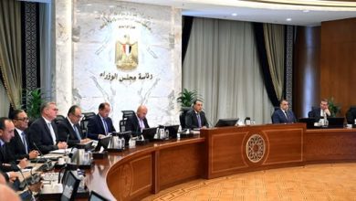 صورة رئيس الوزراء يتابع جهود النهوض الدولة  بصناعة الأسمدة الزراعية في مصر