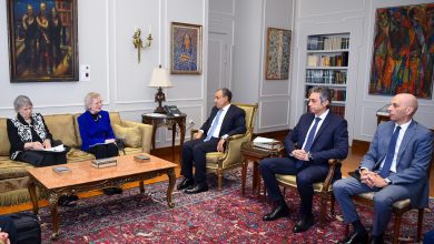 صورة وزير الخارجية يؤكد على رفض مصر الكامل لتهجير الفلسطينيين من أرضهم وتصفية القضية الفلسطينية