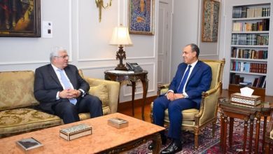 صورة وزير الخارجية يبحث مع وزير التعليم العالي التعاون المشترك