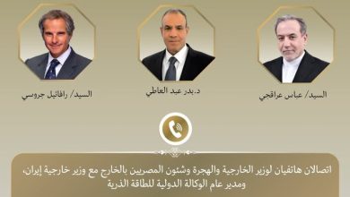 صورة اتصالان لوزير الخارجية مع نظيره الإيراني والمدير العام للوكالة الدولية للطاقة الذرية