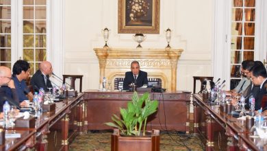 صورة وزير الخارجية يستعرض محددات الموقف المصرى من التطورات الإقليمية مع ممثلي وسائل الإعلام الأجنبية المعتمدة بمصر