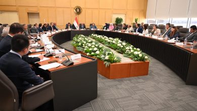 صورة ” الوزير ” يبحث مع وزيري قطاع الأعمال والزراعة تعظيم زراعة الكتان