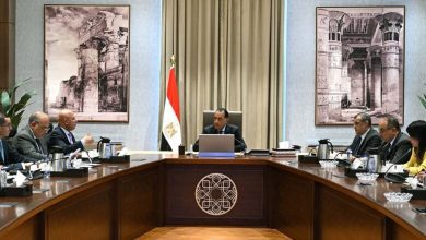 صورة رئيس الوزراء يتابع جهود دعم وتوطين الصناعة في مصر