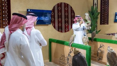 صورة الرياض تحتضن المزاد الدولي لمزارع إنتاج الصقور بمشاركة نخبة منتجي الصقور عالميًّا