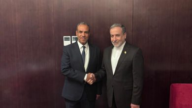 صورة وزير الخارجية والهجرة يلتقي نظيره الإيراني لبحث العلاقات الثنائية بين البلدين  والوضع الاسرائيلى الفلسطيني 