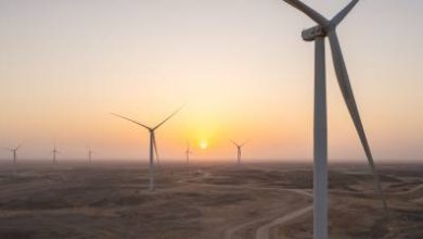 صورة استراتيجية التنويع ومبادرات الاستدامة ترفع الثقة بالاستثمار في سلطنة عُمان