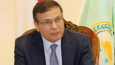صورة وزير الزراعة : تمويل مشروع “البتلو” يتجاوز 10 مليارات جنيه لصالح أكثر من 45 ألف مستفيد