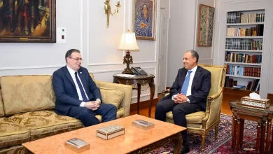 صورة وزير الخارجية يلتقى رئيس جهاز التنظيم والإدارة  لبحث سبل التعاون