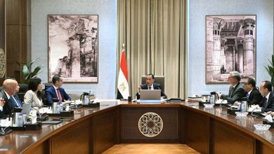 صورة مدبولي : الحكومة توفر الدعم المطلوب للاستثمارات بالقطاعات المختلفة ومنها الصناعات التعدينية