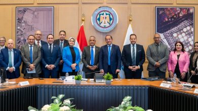 صورة وزير المالية : دعم  كامل لجهود تمكين القطاع الخاص للتوسع والنفاذ للأسواق الأفريقية