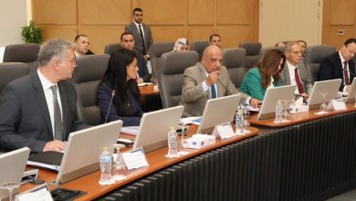 صورة الحكومة تبحث توفير الطاقة الكهربائية اللازمة لـ 14 مشروعا صناعيا جديدا