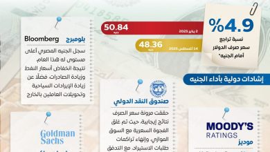 صورة بالإنفوجراف .. المؤسسات الدولية تشيد بمرونة سعر الصرف في مصر