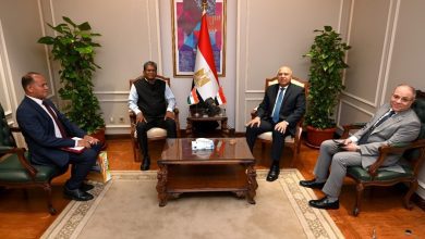 صورة 3.5 مليار دولار حجم استثمارات الشركات الهندية القائمة في مصر