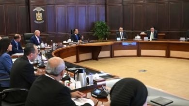 صورة رئيس الوزراء يتابع جهود توفير المنتجات البترولية لقطاعي الصناعة والزراعة