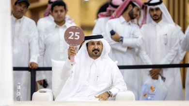 صورة بيع أغلى صقر في المزاد الدولي لمزارع إنتاج الصقور في الرياض بأكثر من 319 ألف دولارًا أمريكيًا