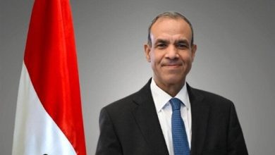 صورة وزير الخارجية: اللجنة المصرية القطرية المشتركة سعت إلى تعزيز العلاقات بين البلدين