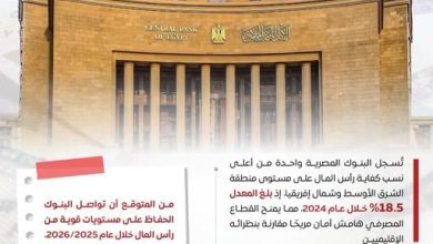 صورة فيتش: البنوك المصرية ضمن الأقوى إقليميًا في كفاية رأس المال حتى 2026