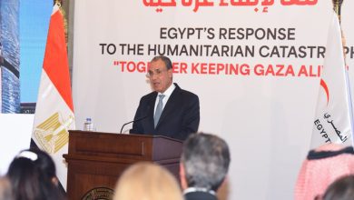 صورة وزير الخارجية: مصر لعبت دورًا محوريًا لقيادة الاستجابة الإنسانية بغزة.. ومعبر رفح ظل وسيظل مفتوحًا لدخول المساعدات