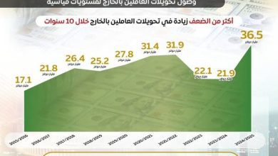 صورة البنك المركزي: 36.5 مليار دولار إجمالي تحويلات المصريين بالخارج خلال عام 2024/2025