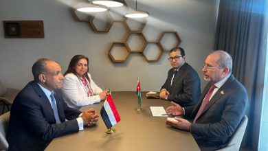 صورة وزيرا خارجية مصر والأردن يؤكدان رفض العدوان الإسرائيلي والتهجير في غزة ويدعوان لوقف فوري لإطلاق النار