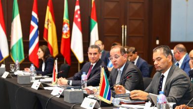 صورة كجوك: مصر عملت على توسيع الرقعة الزراعية وزيادة الإنتاجية وتوفير السلع الغذائية بكميات مناسبة