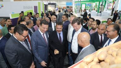 صورة وزير الزراعة يفتتح الدورة الـ37 من معرض ومؤتمر “صحارى 2025” بمشاركة محلية ودولية واسعة