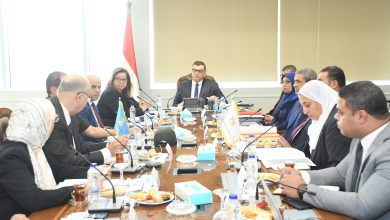 صورة ” صندوق الإسكان الاجتماعى”  و” دعم التمويل العقاري ” يستعرض موقف تنفيذ الوحدات السكنية ضمن المبادرة الرئاسية “سكن لكل المصريين”