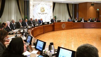 صورة رئيس الوزراء يتابع جهود النهوض بصناعة الحديد والصلب في مصر