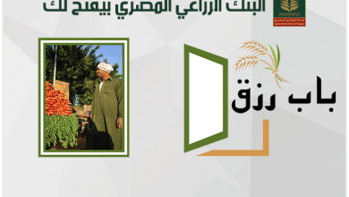 صورة لدعم وتمويل المشروعات متناهية الصغر..  تفاصيل ومزايا “برنامج باب رزق” من البنك الزراعي المصري