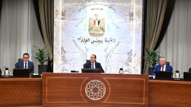 صورة مدبولي : “القنطرة غرب الصناعية” دليل جديد على إرادة القيادة السياسية لتحقيق تغيير ملموس بخارطة التنمية في مصر