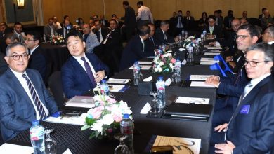 صورة هيبة : مصر تفتح ذراعيها للمستثمرين من جميع أنحاء العالم